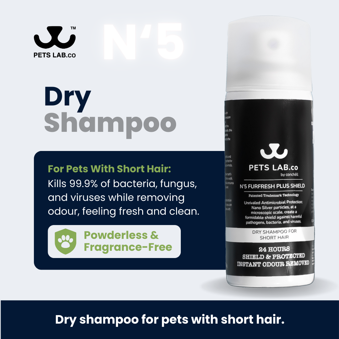 PetsLab.co N'5 Dry Shampoo Dry shampoo for pets