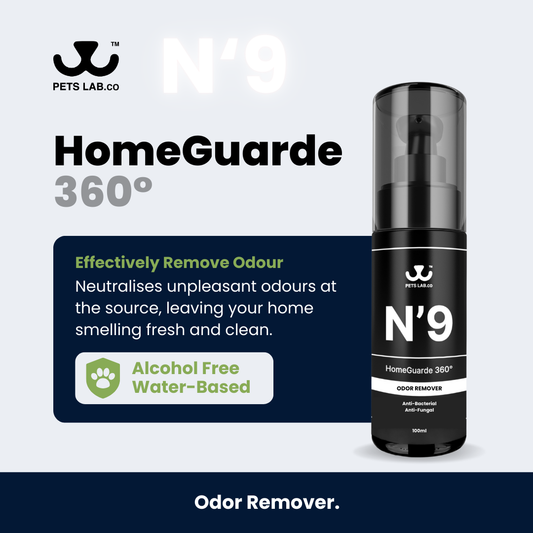 N’9 HomeGuarde 360° Odor Remover