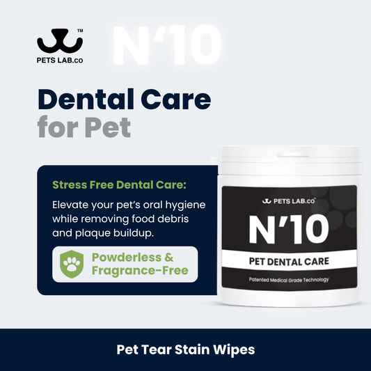 N’10 Dental Care