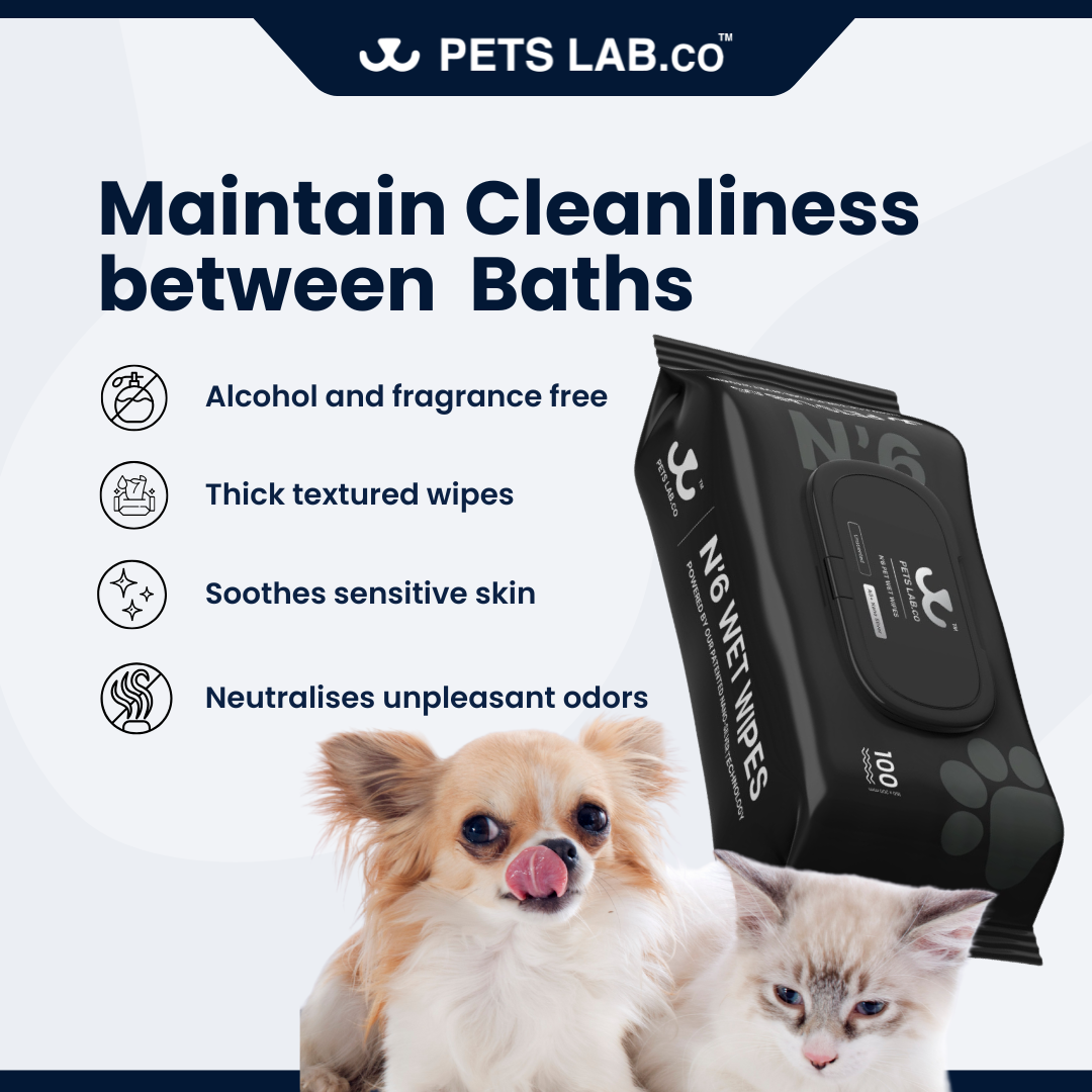 N'6 Pet Wet Wipes