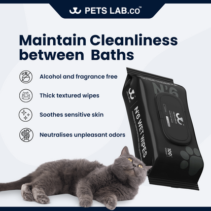 N'6 Pet Wet Wipes