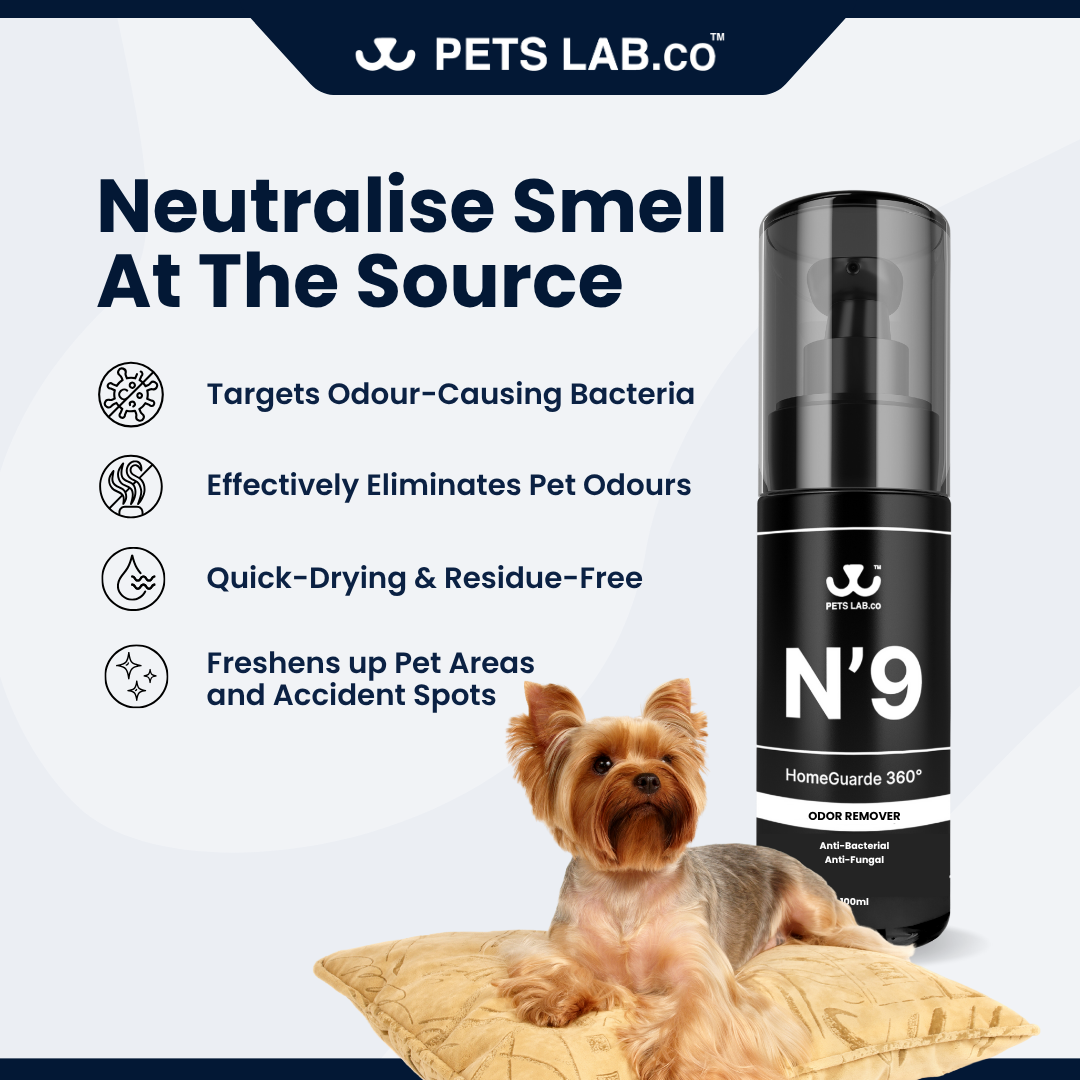 N’9 HomeGuarde 360° Odor Remover