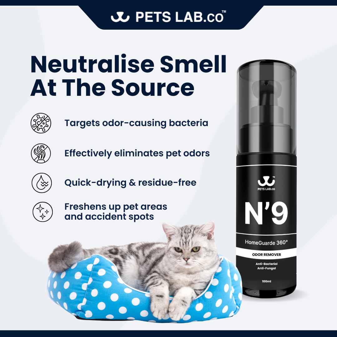 N’9 HomeGuarde 360° Odor Remover