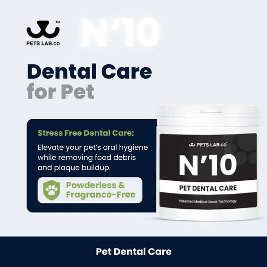 N’10 Dental Care